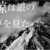 鯨は銀の夢を見た